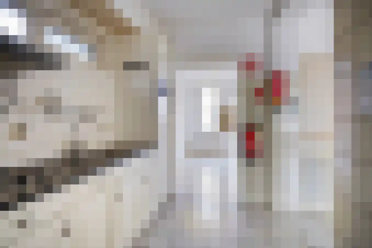 Lassusstraat 66 Eindhoven thumbnail 5