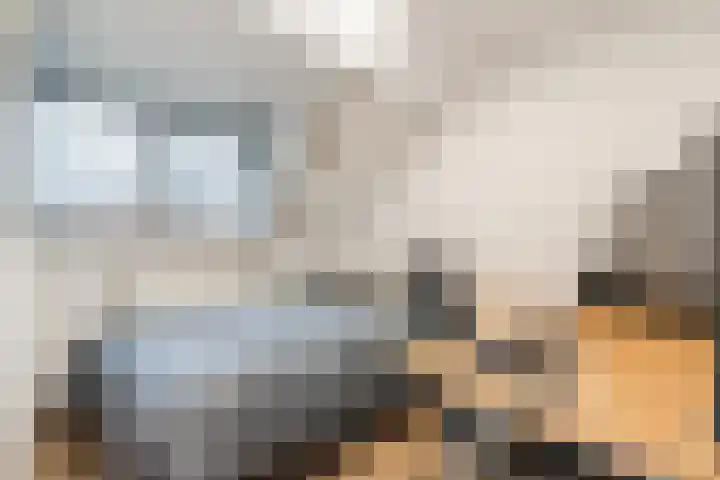 Lassusstraat 72 Eindhoven thumbnail 24