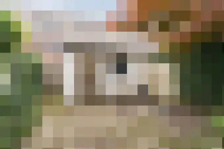 Lassusstraat 72 Eindhoven thumbnail 30
