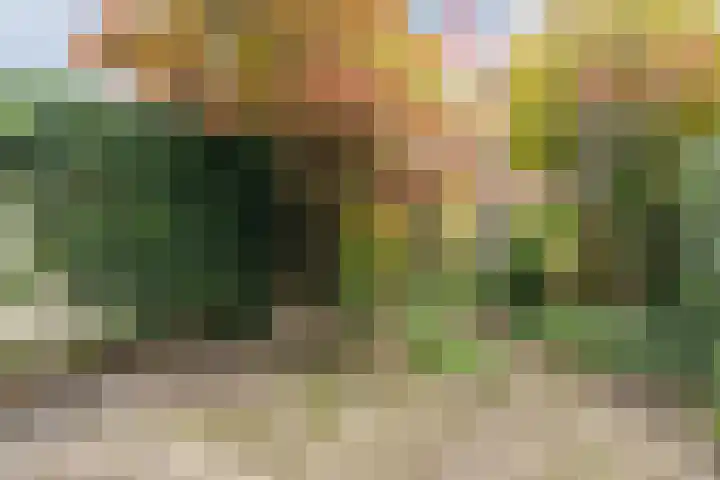 Lassusstraat 72 Eindhoven thumbnail 31