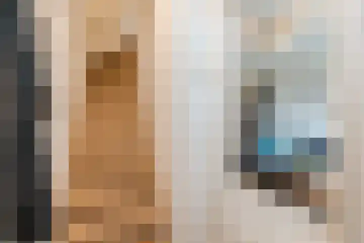 Lassusstraat 72 Eindhoven thumbnail 5