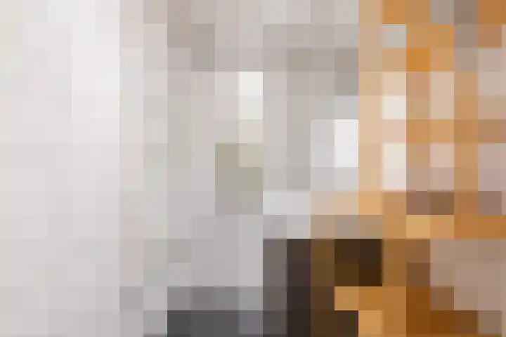 Lassusstraat 78 Eindhoven thumbnail 27