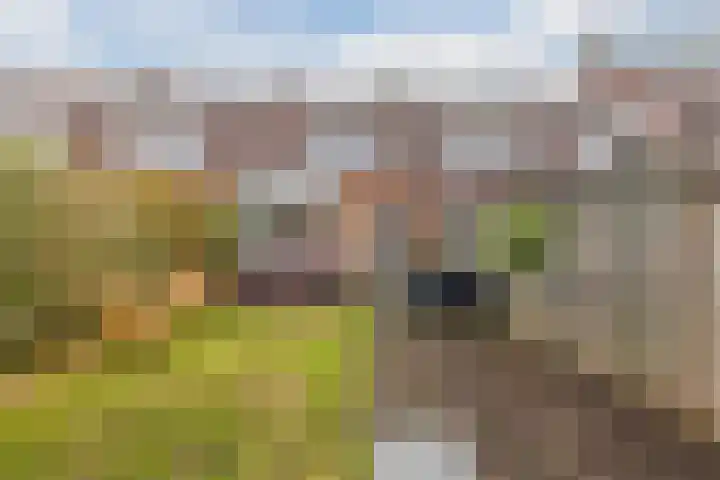 Lassusstraat 78 Eindhoven thumbnail 32
