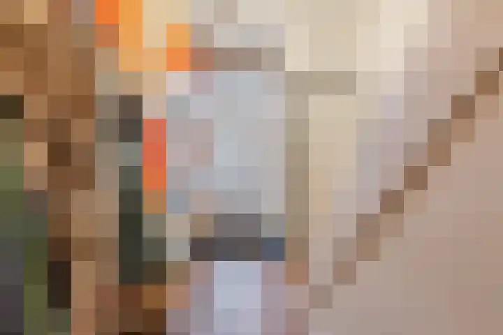 Lassusstraat 78 Eindhoven thumbnail 4