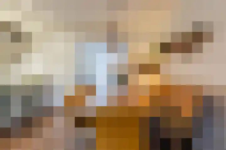 Lassusstraat 78 Eindhoven thumbnail 9