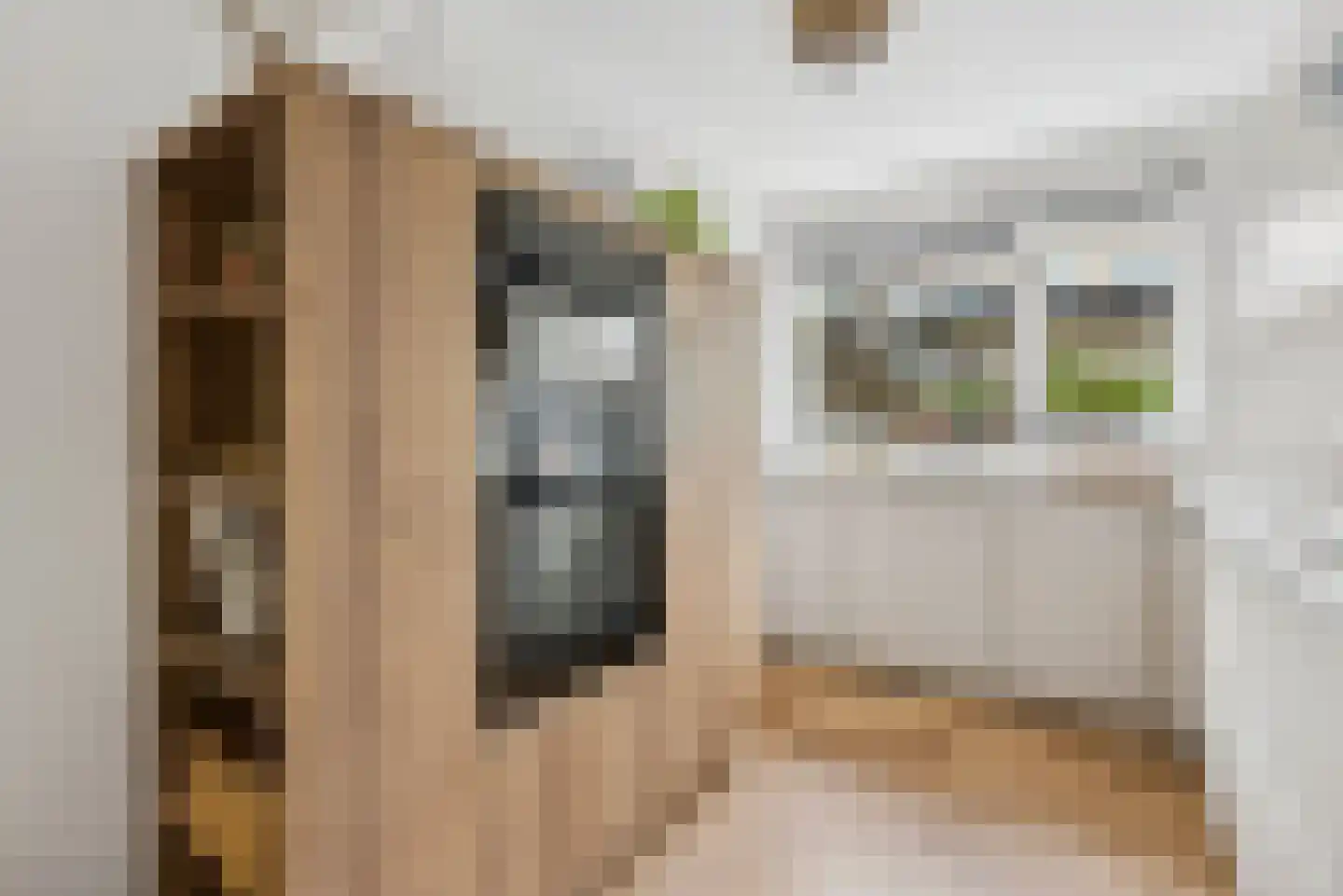 Lastdragerstraat 18 Almere thumbnail 15