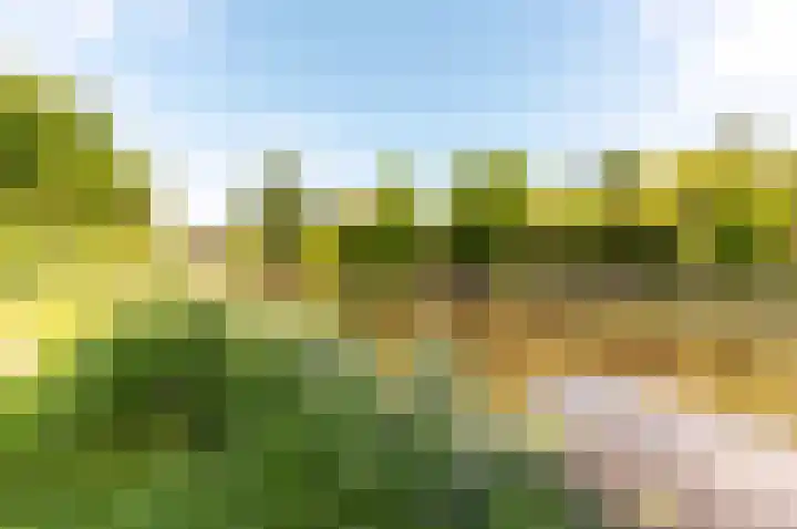 Lastdragerstraat 61 Almere thumbnail 32