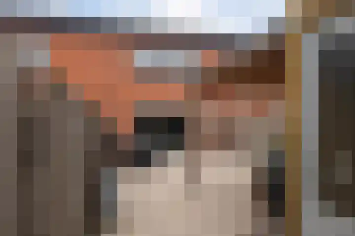 Lastdragerstraat 65 Almere thumbnail 37