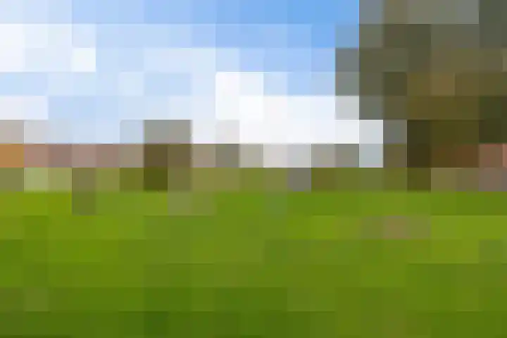 Lastdragerstraat 65 Almere thumbnail 43