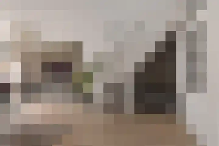 Lastdragerstraat 65 Almere thumbnail 8