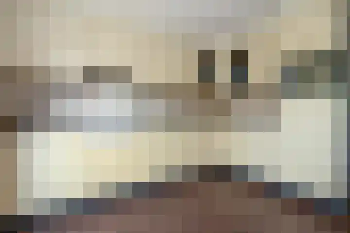 Latenstein 13 Middenbeemster thumbnail 16