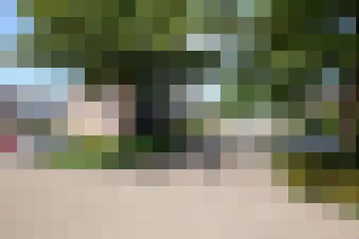 Latenstein 13 Middenbeemster thumbnail 42