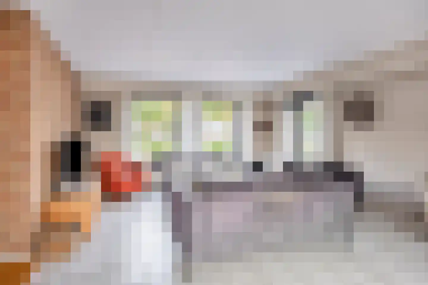 Latensteinse Rondweg 2 Tiel thumbnail 10