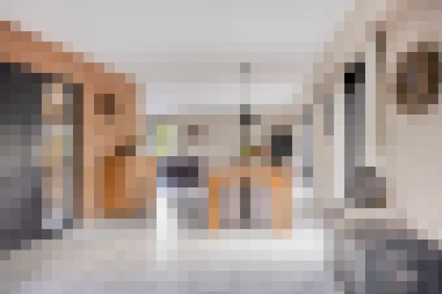 Latensteinse Rondweg 2 Tiel thumbnail 11