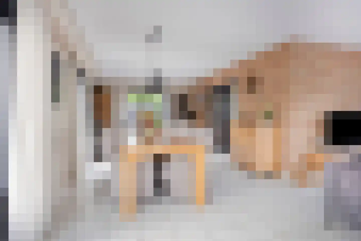 Latensteinse Rondweg 2 Tiel thumbnail 13