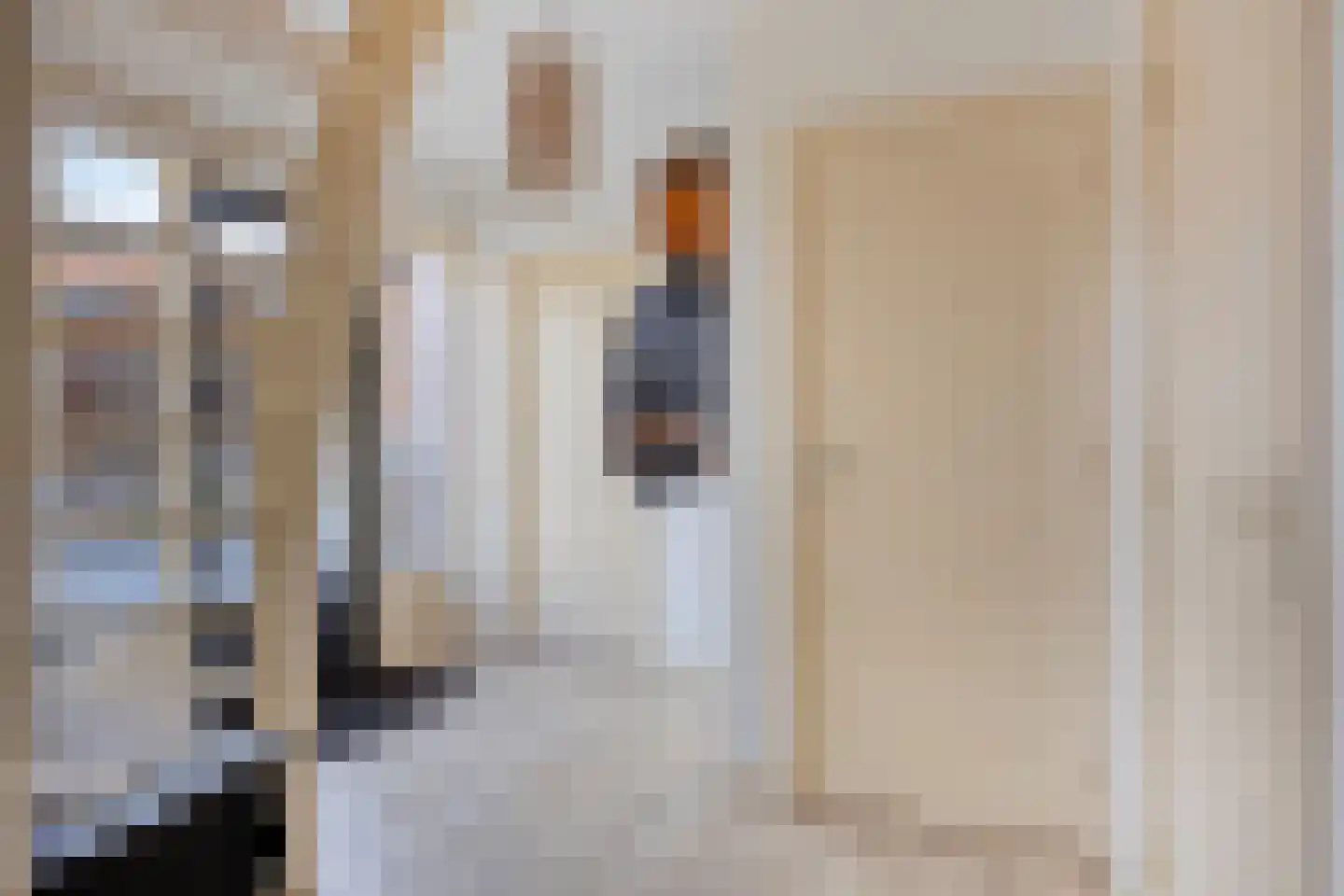 Latensteinse Rondweg 2 Tiel thumbnail 21