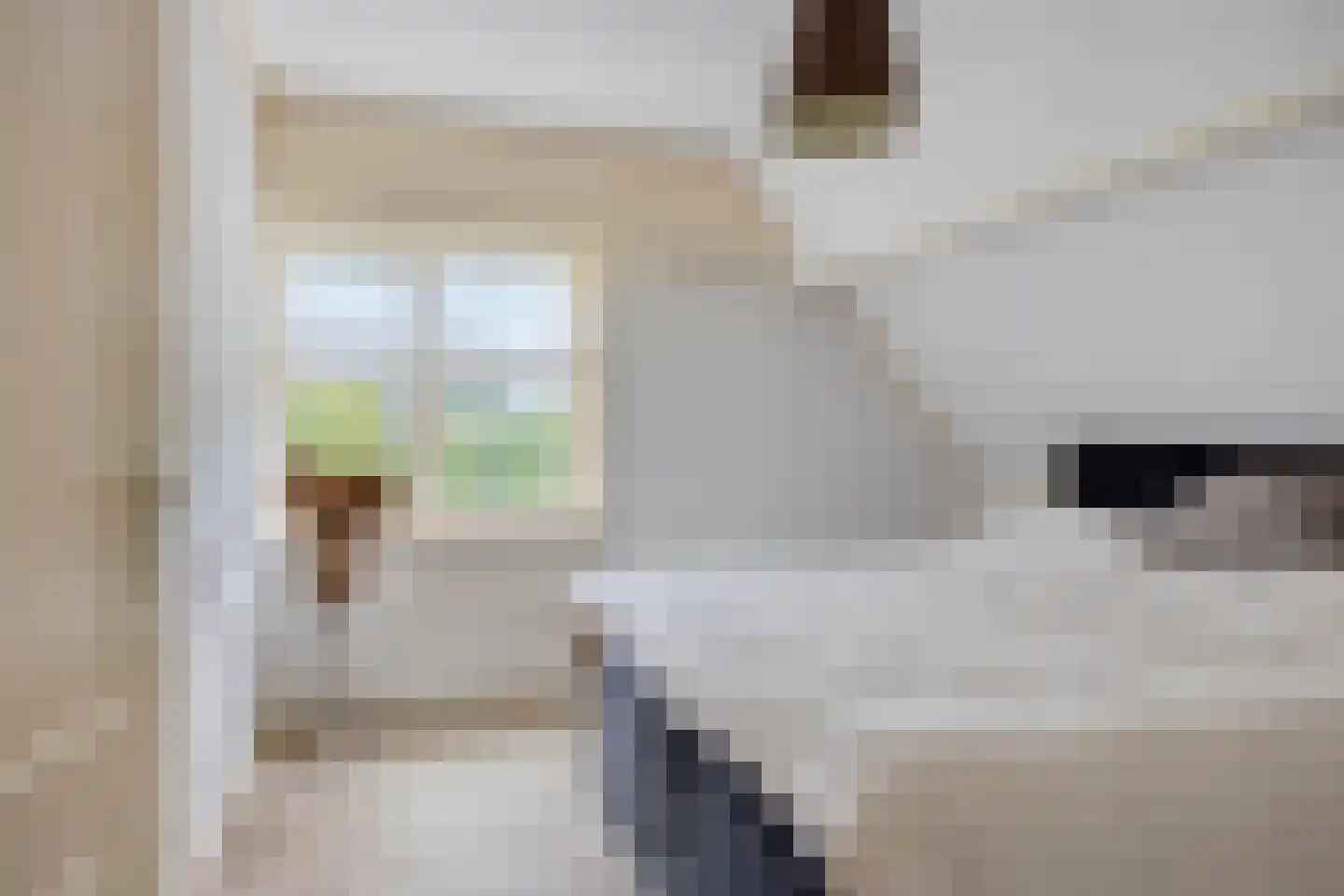 Latensteinse Rondweg 2 Tiel thumbnail 30