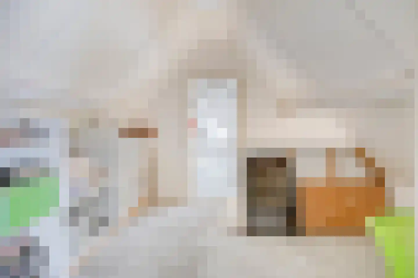Latensteinse Rondweg 2 Tiel thumbnail 41