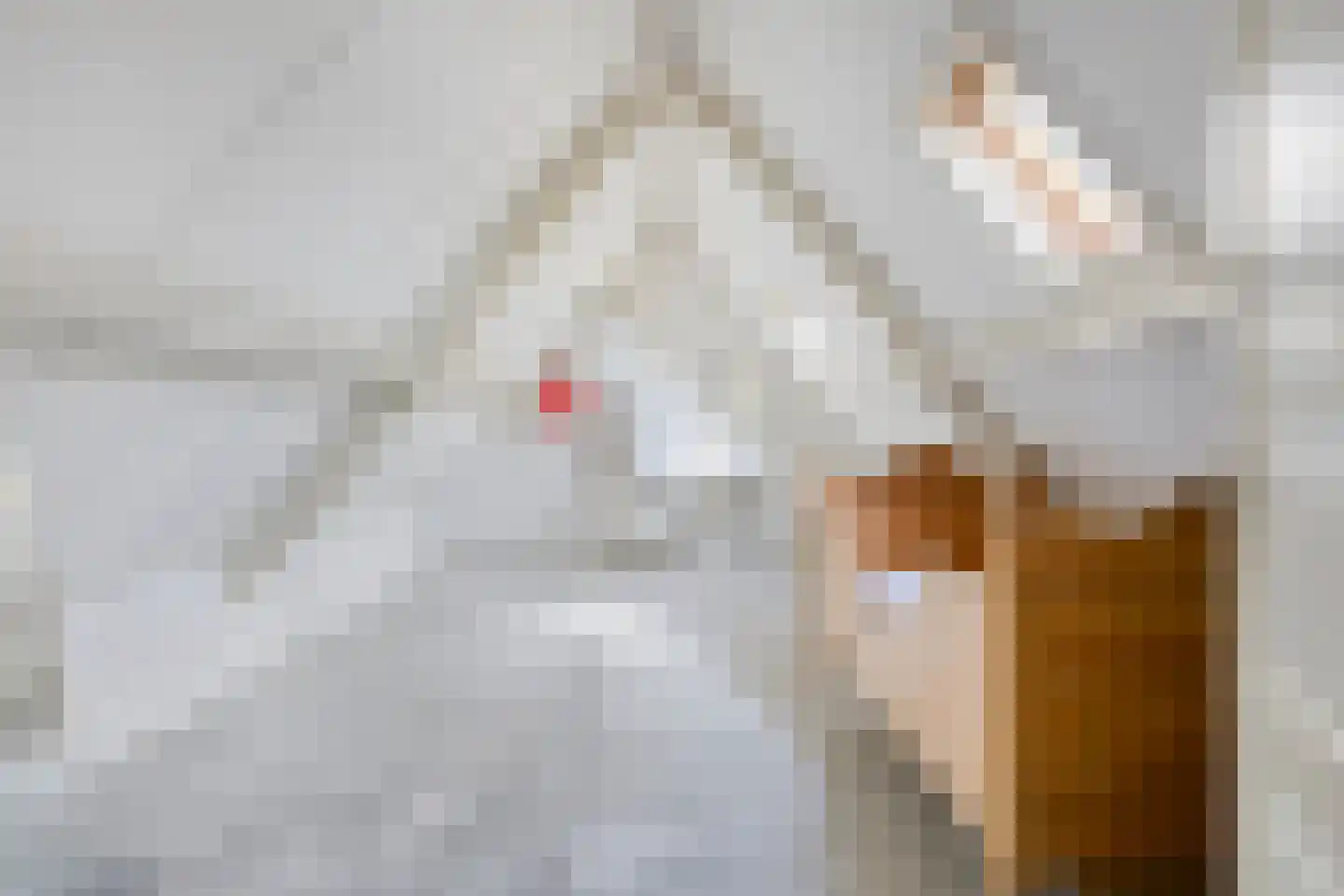 Latensteinse Rondweg 2 Tiel thumbnail 42