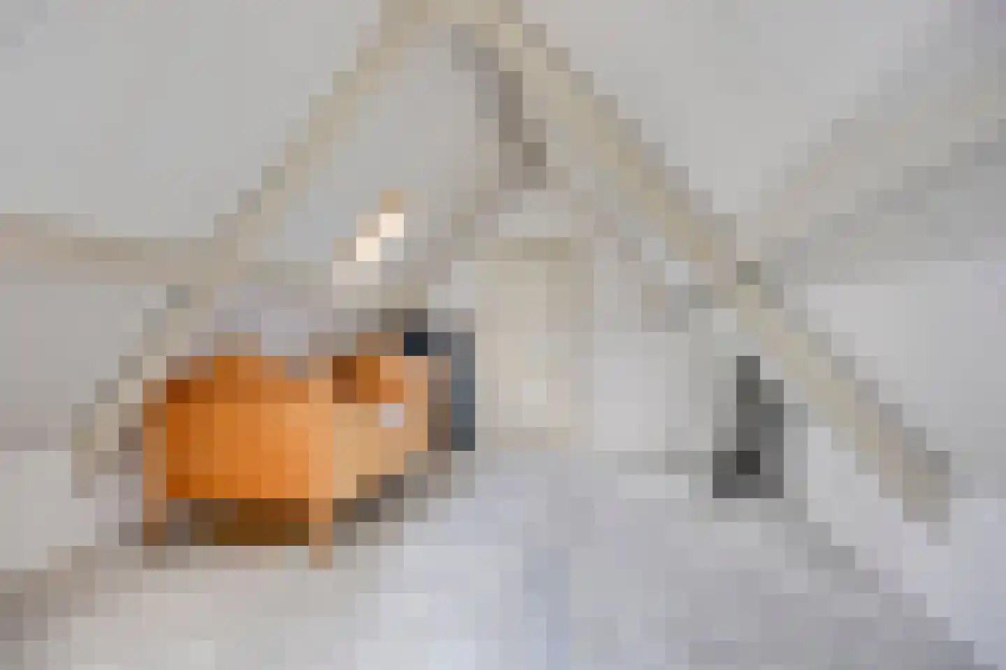 Latensteinse Rondweg 2 Tiel thumbnail 43