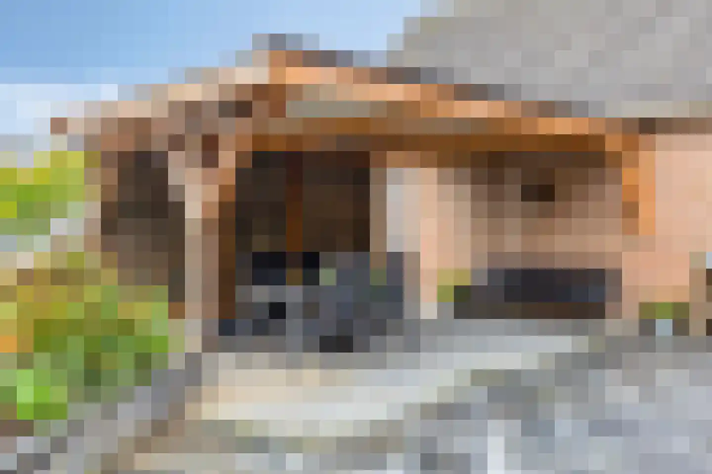 Latensteinse Rondweg 2 Tiel thumbnail 50