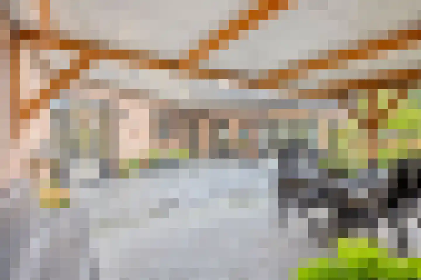 Latensteinse Rondweg 2 Tiel thumbnail 52