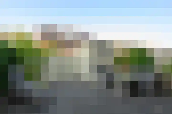 Laterastraat 11 Naaldwijk thumbnail 10