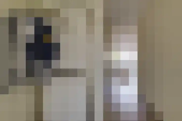 Laterastraat 11 Naaldwijk thumbnail 13