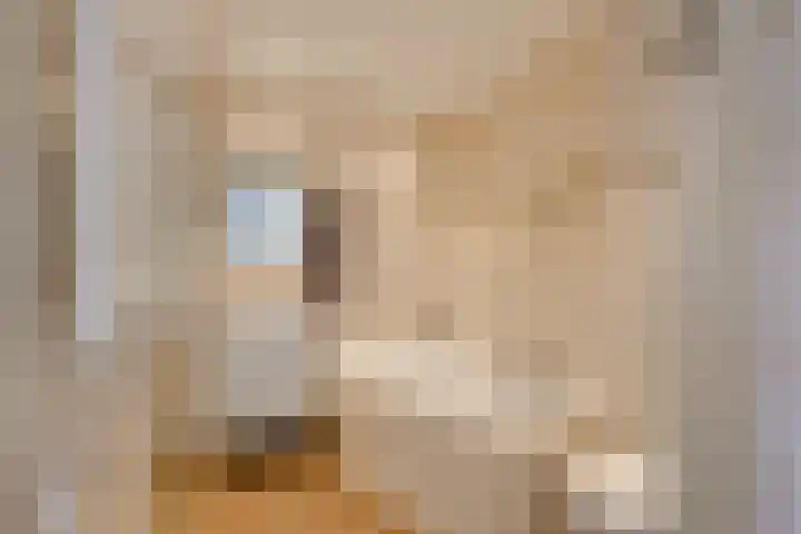 Laterastraat 11 Naaldwijk thumbnail 19