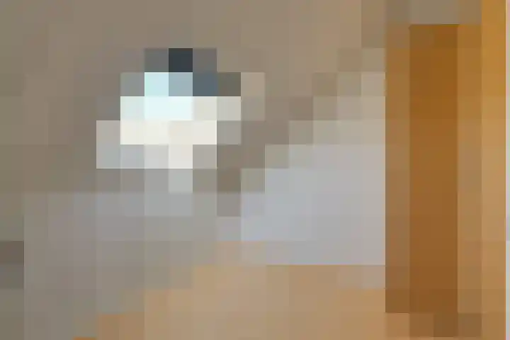 Laterastraat 11 Naaldwijk thumbnail 26