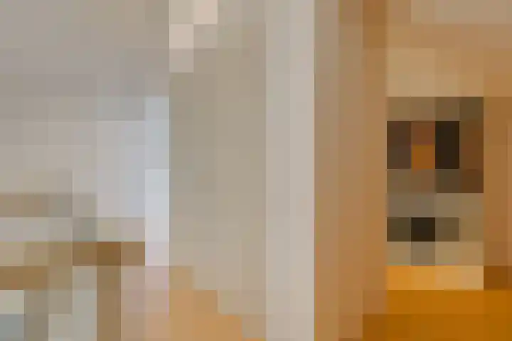 Laterastraat 11 Naaldwijk thumbnail 28