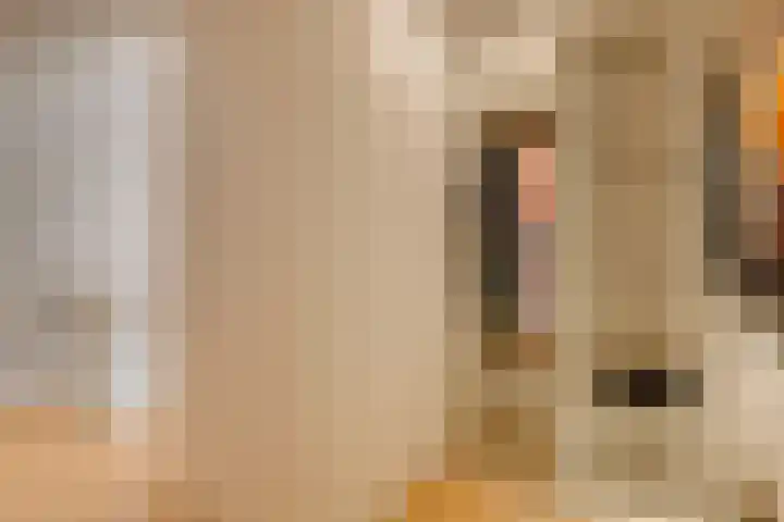 Laterastraat 11 Naaldwijk thumbnail 29