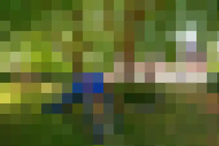 Laterastraat 11 Naaldwijk thumbnail 33