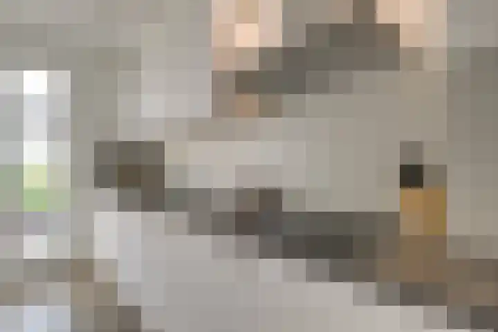 Laterastraat 11 Naaldwijk thumbnail 4