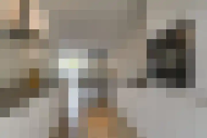 Laterastraat 11 Naaldwijk thumbnail 5