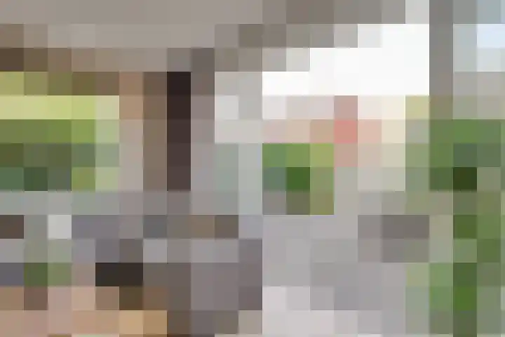 Laterastraat 11 Naaldwijk thumbnail 8