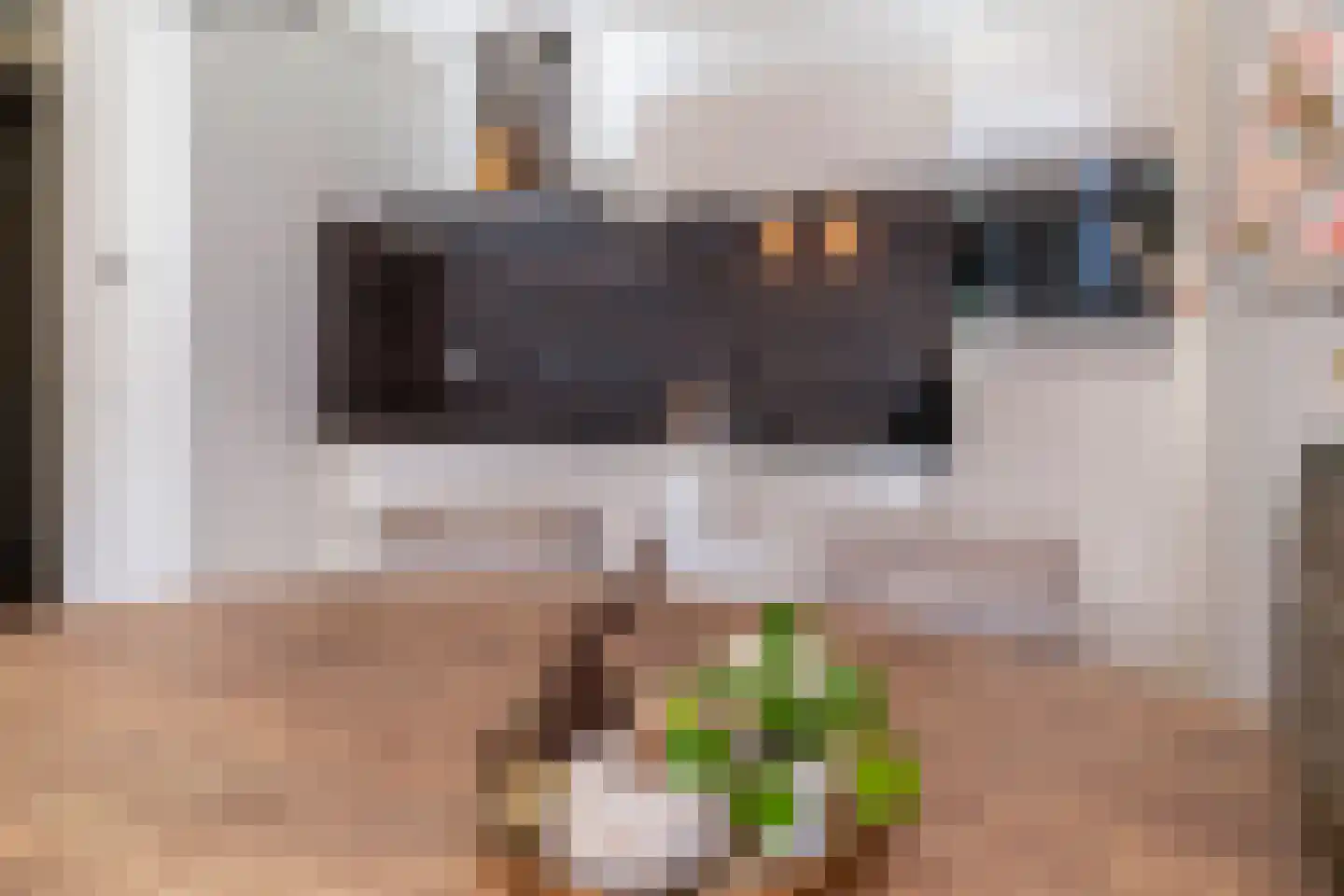 Laterastraat 53 Naaldwijk thumbnail 12