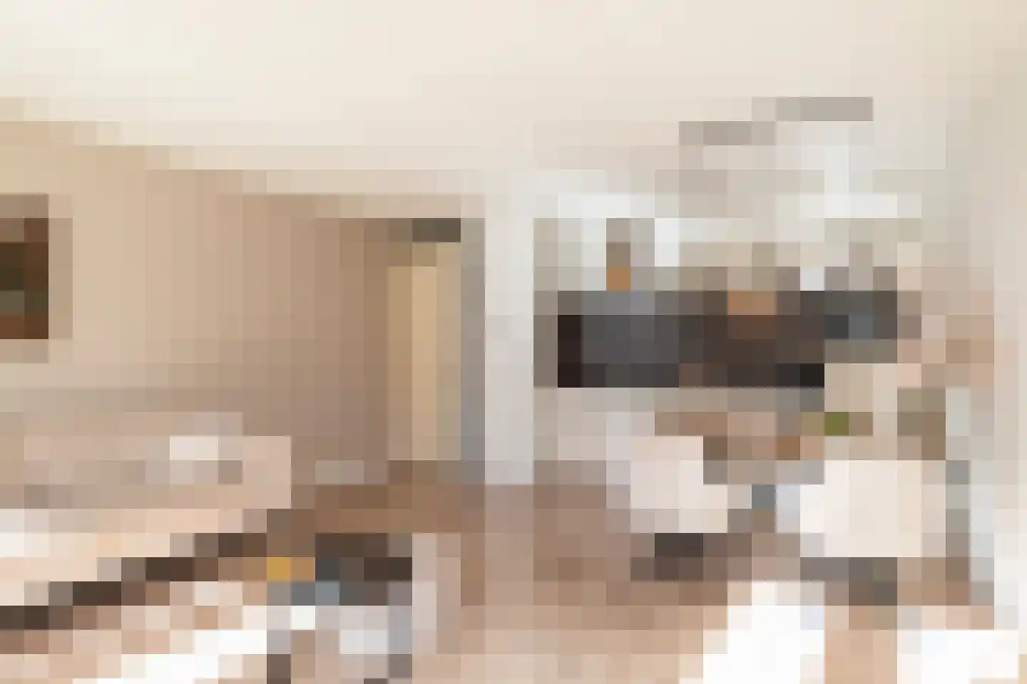Laterastraat 53 Naaldwijk thumbnail 16