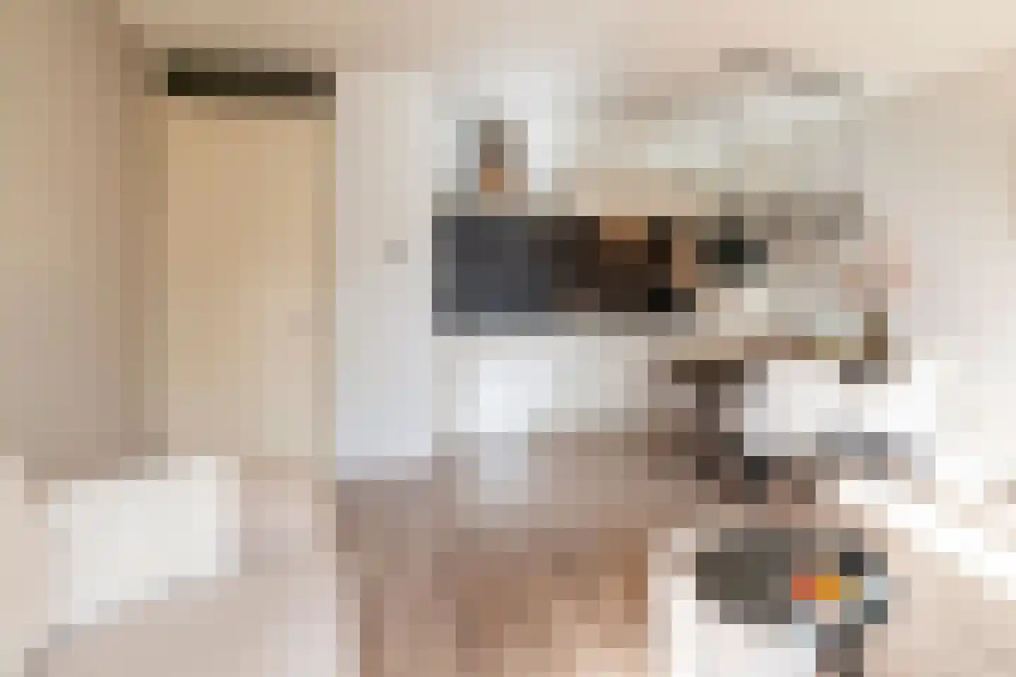 Laterastraat 53 Naaldwijk thumbnail 17