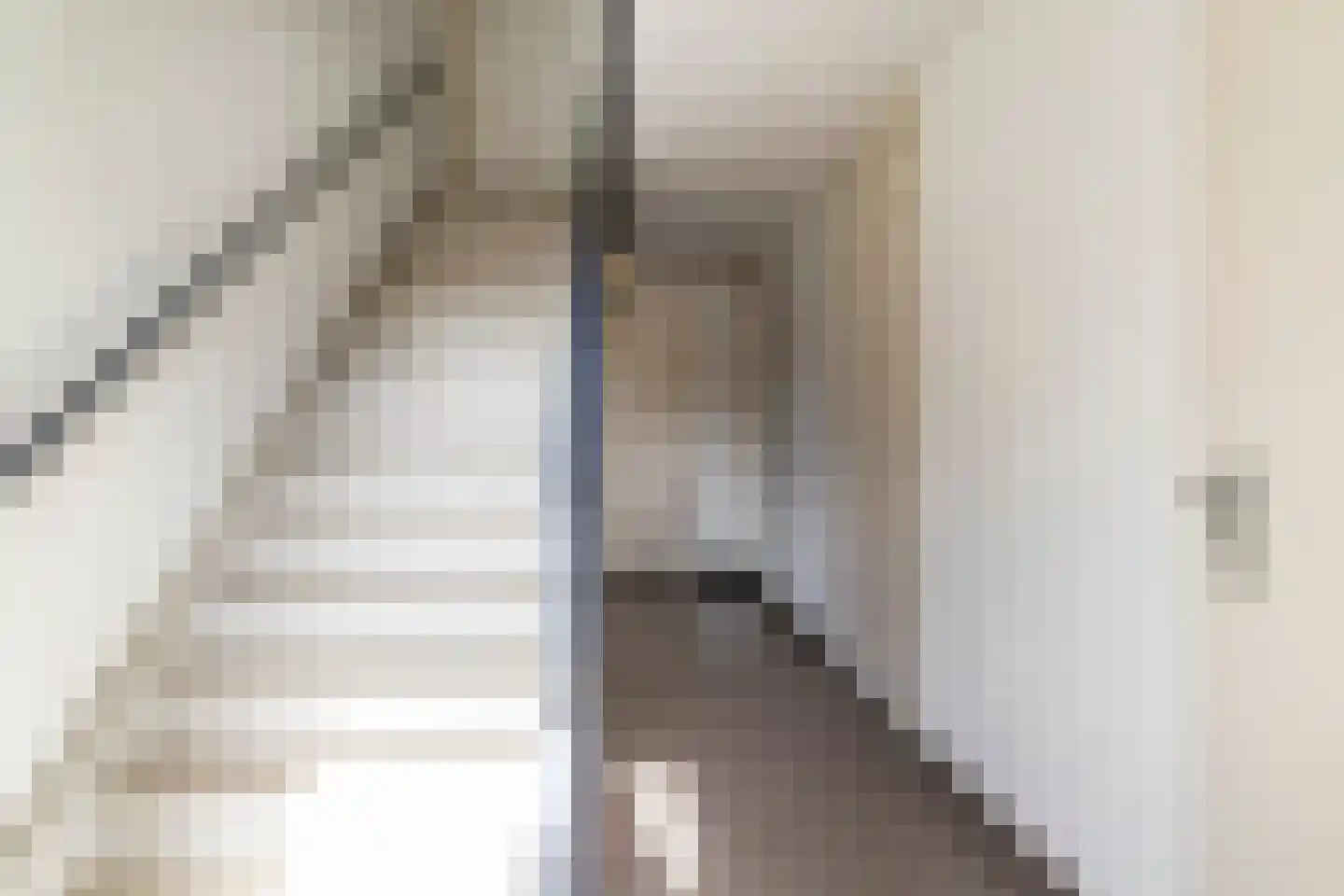 Laterastraat 53 Naaldwijk thumbnail 30