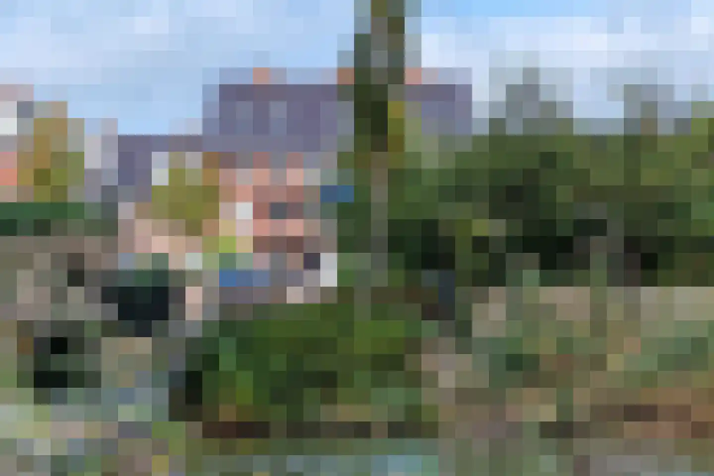 Laterastraat 53 Naaldwijk thumbnail 35
