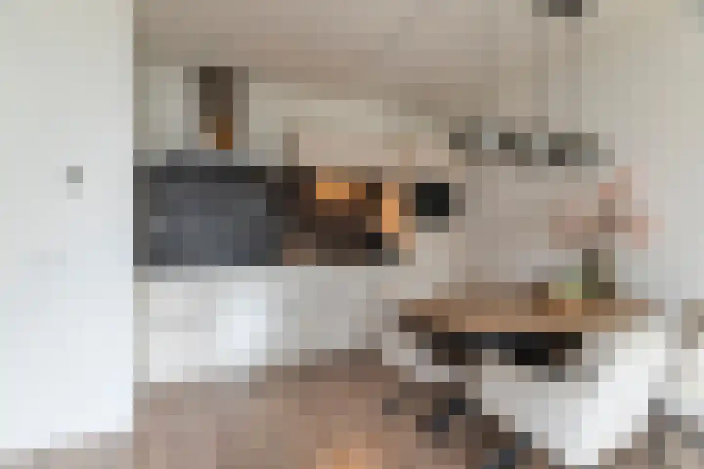 Laterastraat 53 Naaldwijk thumbnail 4