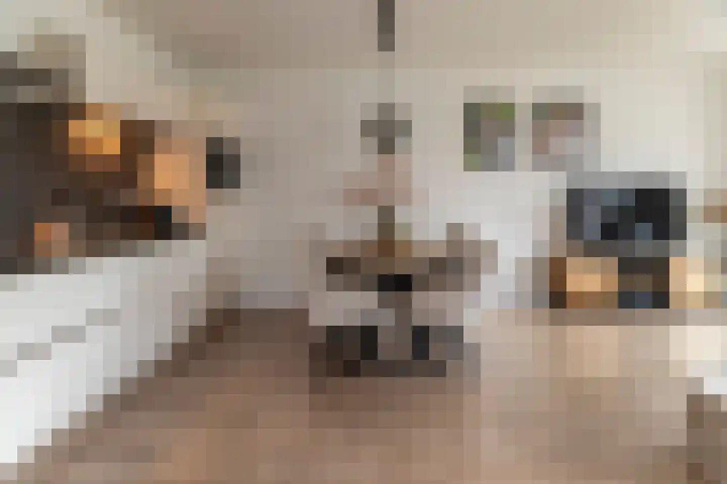Laterastraat 53 Naaldwijk thumbnail 6