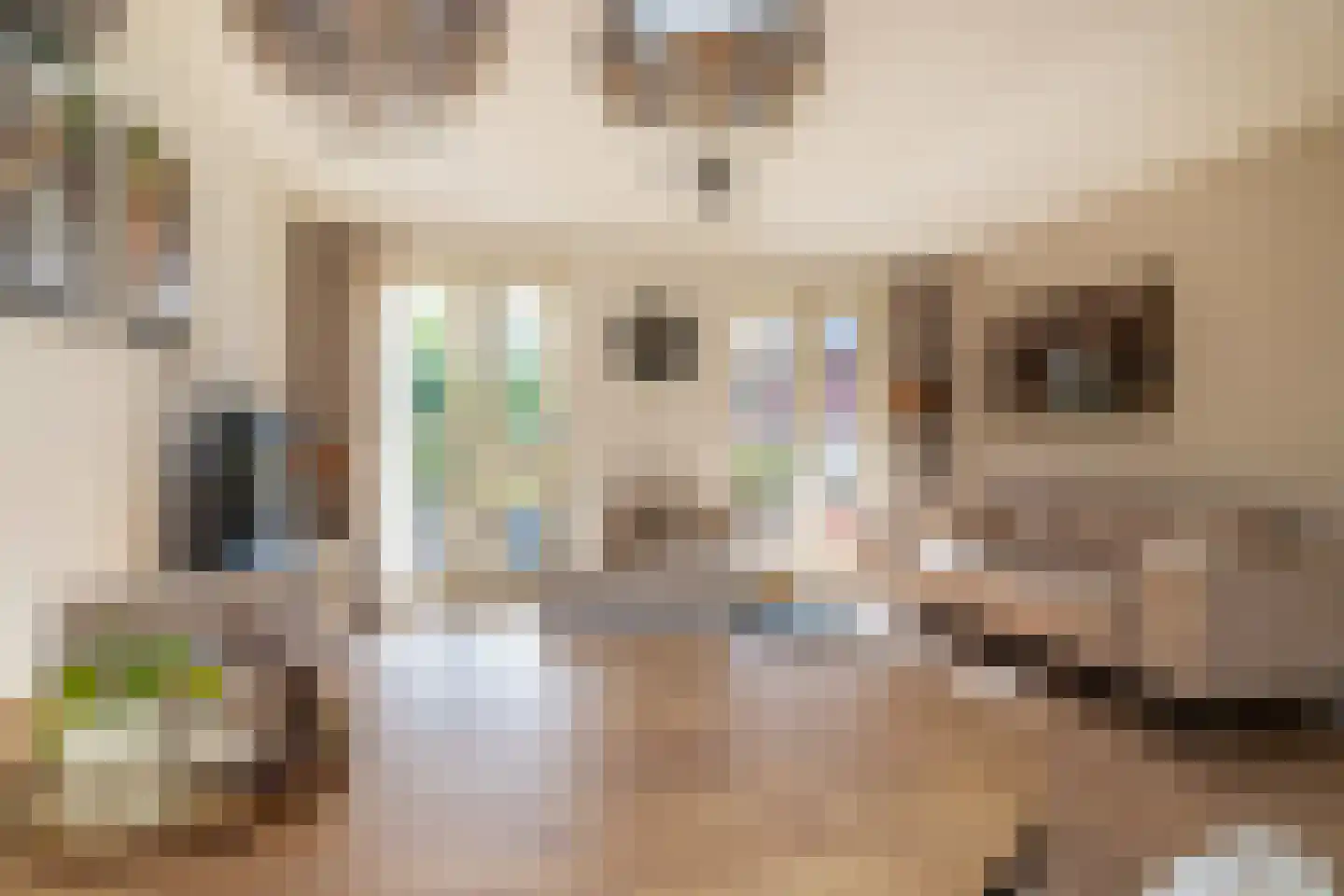 Laterastraat 53 Naaldwijk thumbnail 7