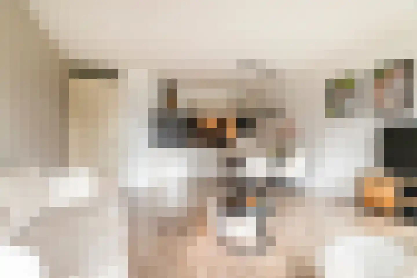 Laterastraat 53 Naaldwijk thumbnail 8