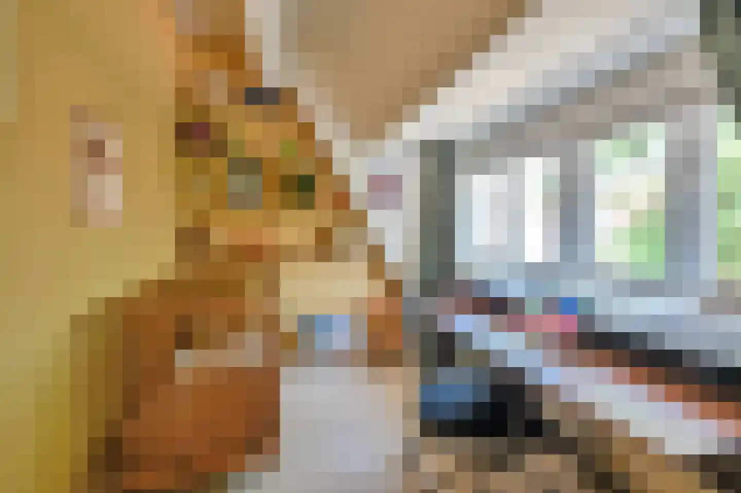 Latherusstraat 11 1 Amsterdam thumbnail 17