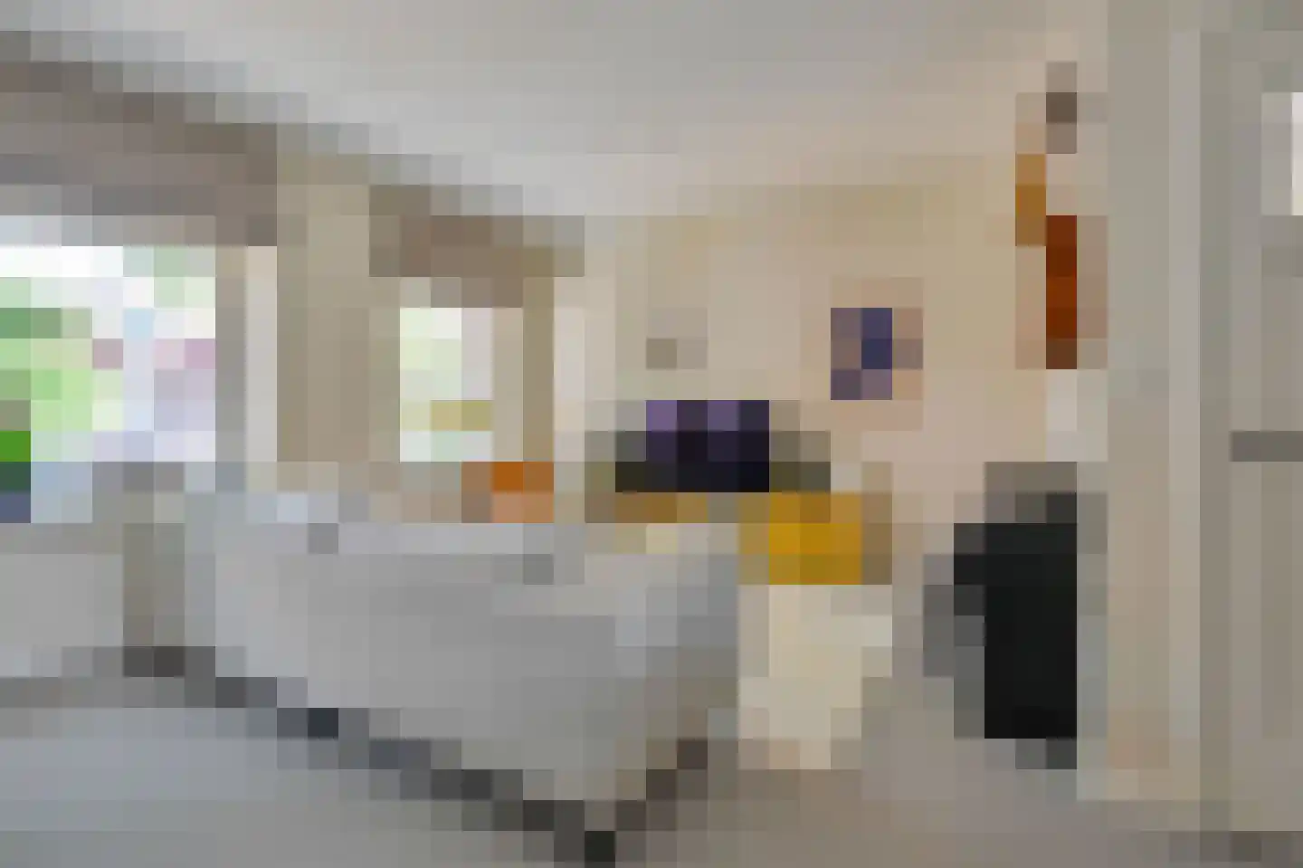 Latherusstraat 11 1 Amsterdam thumbnail 5