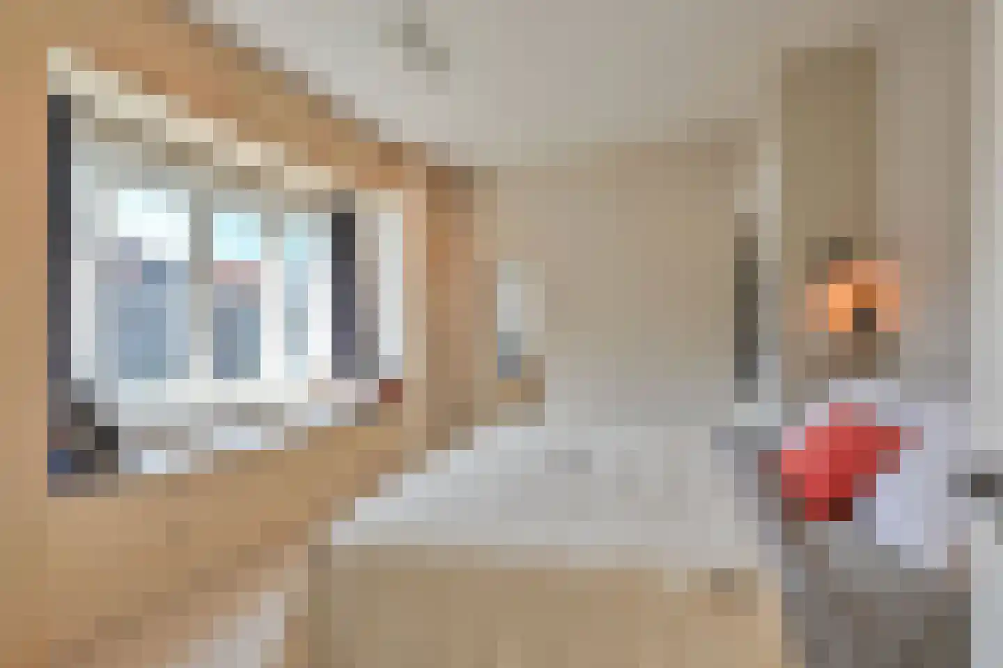 Latherusstraat 11 I Amsterdam thumbnail 15