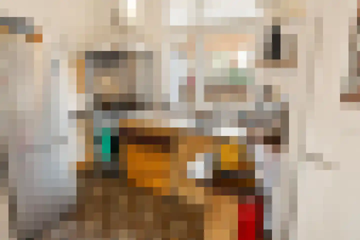Latherusstraat 25 Amsterdam thumbnail 26