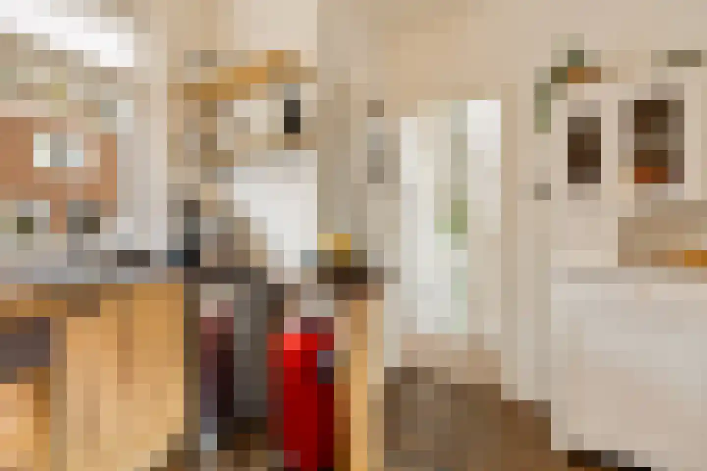 Latherusstraat 25 Amsterdam thumbnail 27